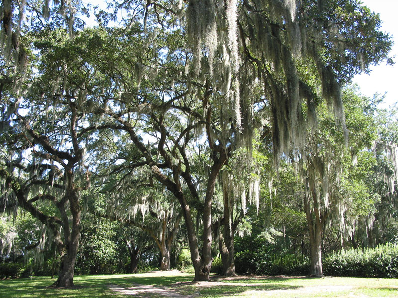 178-7862_IMG